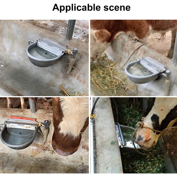 Automatisk hästvattnare, flötvattnare i rostfritt stål, boskapsvattnare för hundar, vattnare för utfodring av husdjur