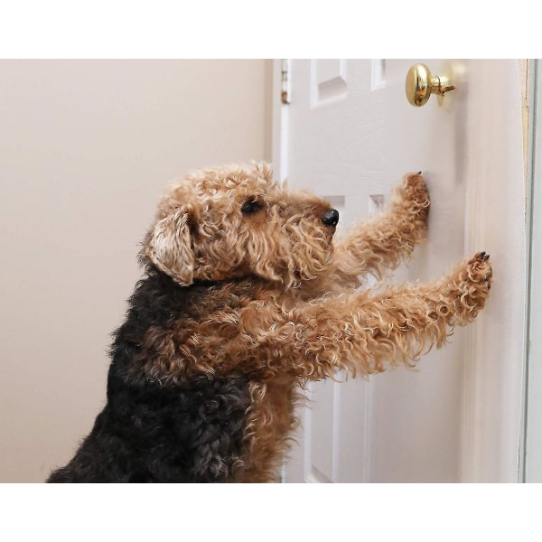 Big Dog Scratch Shield, Heavy Duty, ultimate vegg-, ramme- og dørbeskyttelse--