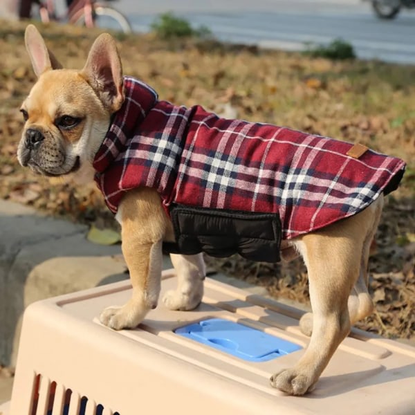 Koiran takki Koiran takki pienille koirille, pehmustettu untuvatakki Käännettävä design-liivi sadetakki, punainen, S (Rinta: 44-52cm, Selkä: 32cm)