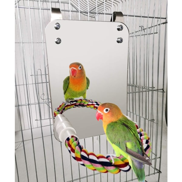 10 tums fågelspegel med rep Abborre Cockatiel-spegel för Cage Bir