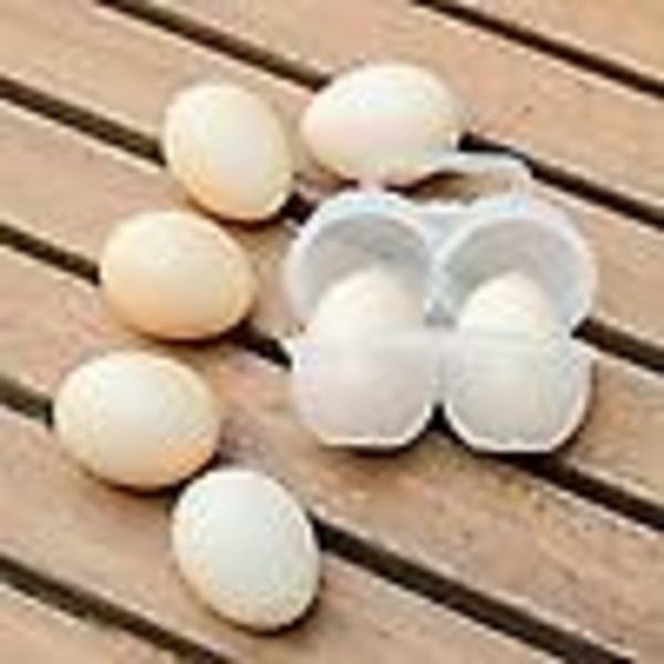 Bärbar ägglåda med handtag, stötsäker, anti-drop, 3 fack, speciell äggbehållare, plast äggbricka, daglig användning Double grid transparent 4 pcs