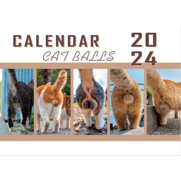 Cat Balls Calendar 2024, Funny Cat Butthole Calendar 12-månaders Cat Balls Calendar, Uusi Funny Cat Ball Seinäkalenteri 2024, Julklapp
