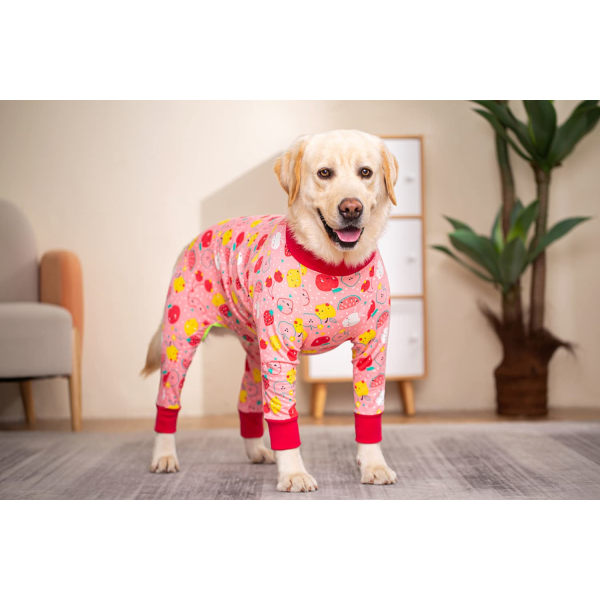 Stor hund onesie pyjamas storlek 30