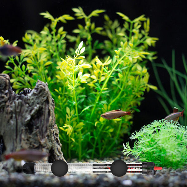 Mini Fish Tank Varmestav Temp-Control drikkevare akvarievarmere til små akvarier 300W