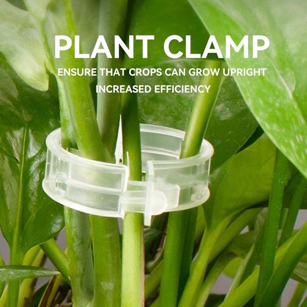 100/200/300 stk plantestøtteklips, planteklemmer for klatreplanter, podeverktøy opprett voksende plante gjenbrukbar (grønn/hvit) hvit white 100pcs
