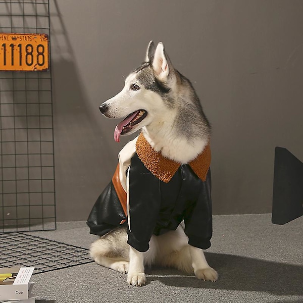 Husdjurskläder Vinter Varma Kläder för Stor Hund Cool Läderjacka Kappa 3XL
