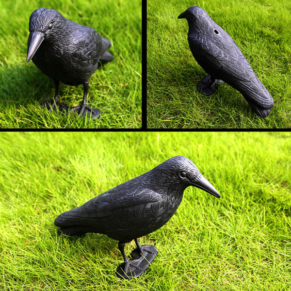 Simulering Black Crow Decoy Shooting Jakt Decoy Plast Landskap Trädgårdsdekoration