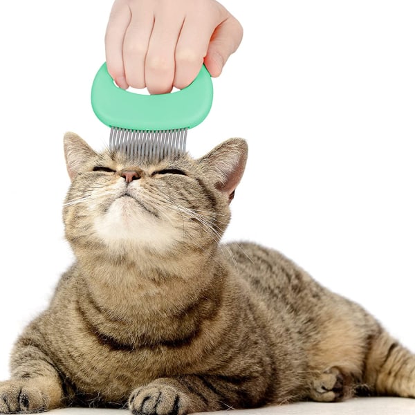 2 delar Kattkam Husdjursmassage Kam Kattskalkam Kattskötsel och smärtfri avläkning Matt trassligt hår för katter och hundar (blått, grönt)