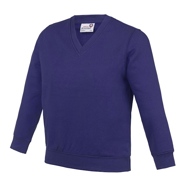 AWDis Academy Barn/Barn Junior V-hals Skoltröja/Sweatshirt Lila Purple 11-12 Years