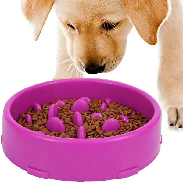 Slow Food Bowl for hunde, Slow Food Bowl, Frostbeskyttelse for hundekød, fremme af sundhedsmæssige kost og langsomt matsmältning (rosa)