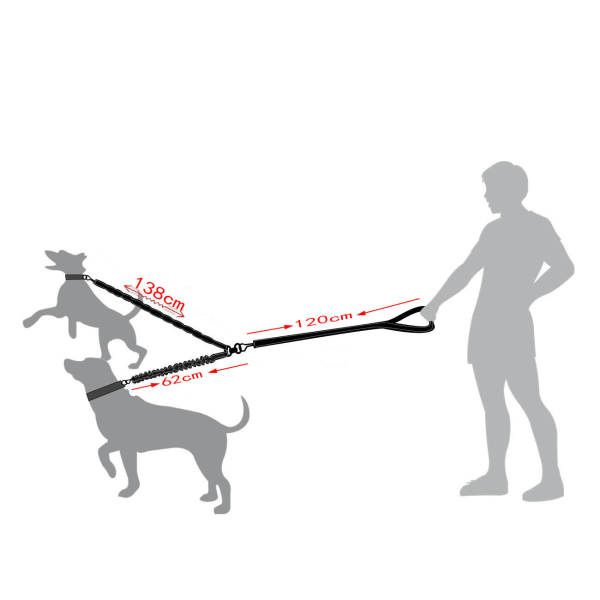 Dobbeltsnor til 2 hunde, hundesnor, refleks, træning og trai