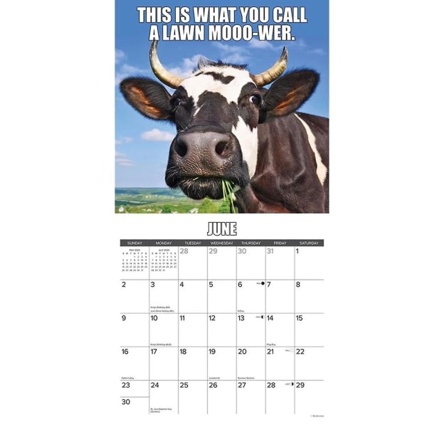 Vuoden 2024 hauska eläinkalenteri inspiroi maatilahuumoria