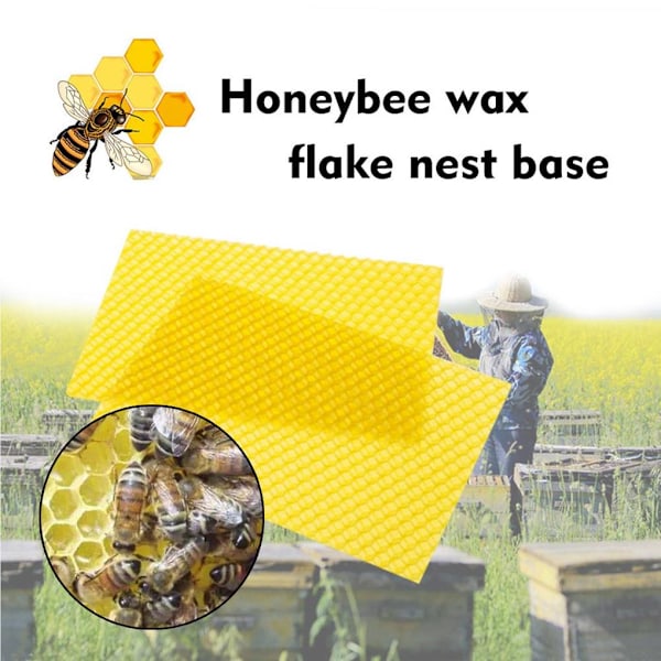 Honningbi Voks Bivax Plade Bistade Ledningsført Voks Honeycomb