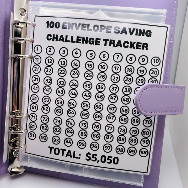 100 Envelope Challenge Pärm Enkla måte å spare, Savings Challenge Pärm, Budgetpärm med kontantkuvert (rosa)