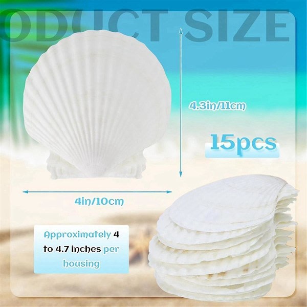 15 kpl Natural Seashells -valkoisia 4-4,7 tuuman kampasimpukoita, jotka ovat yhteensopivia tee-se-itse-askartelun, tarjoilun, leivonnaisten ja M-ES:n kanssa