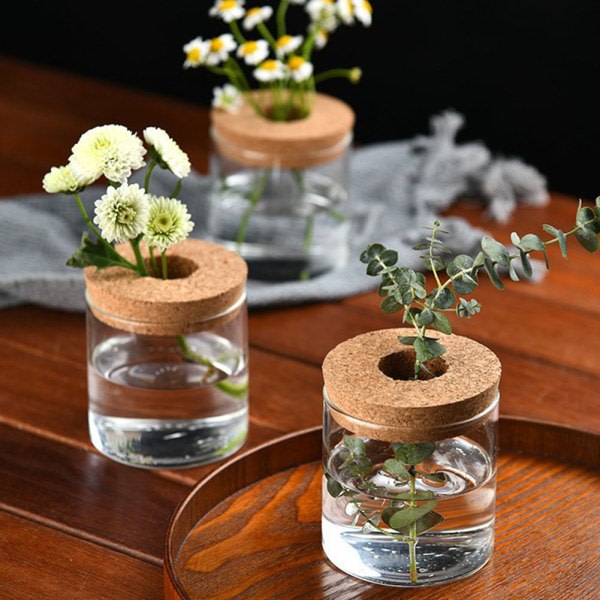 Grön vekst Hydroponisk Dekorativt glass Elegant blomsterarrangement Prydnad for kontor i stue med 8 * 8 cm