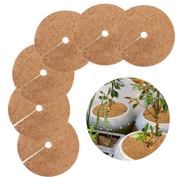 20/30 cm Grässäker kokospalmmatta Blomkruka Platt matta Kylsäker växtskyddsmatta för inomhusträdgårdsväxter 20cm