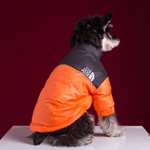 The Dogs Face Puffer Coat Tjock Varm utomhus Djurkläder Vinter Vindtät Mode Husdjur Kostym För Liten Medel Stor Hund Orange S