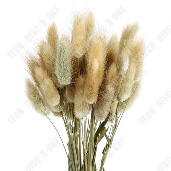 Kanin Græs Tørrede Blomster Boligindretning Naturlig Lufttørret Smagløse Tørrede Blomster Skyderekvisitter Blomster