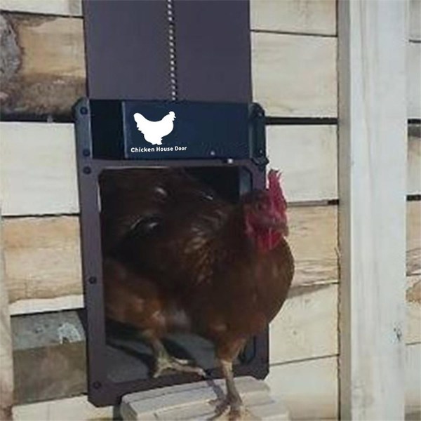 Hønsehus lyssensor lukker automatisk hønsegård