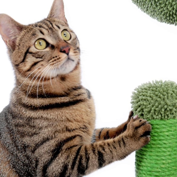 Kaktuksen raapimispylväs kissoille, sisal-kissan raapimistolppa pallolla (K: 53 cm/20,9") Vihreä M