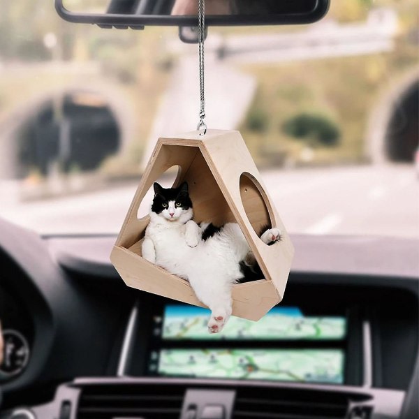 Cat Car Ornt Med Car Ornt Bilinredning Råtta