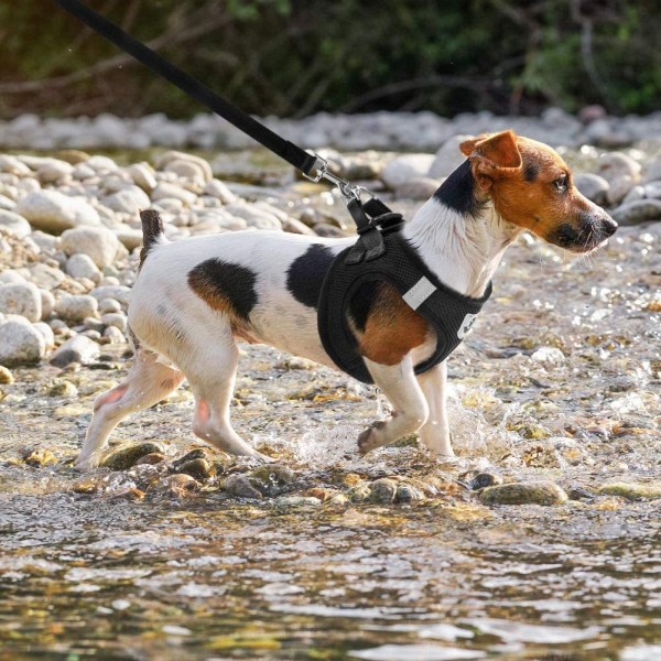 Lätt justerbar hund- och kattvagn, blå S