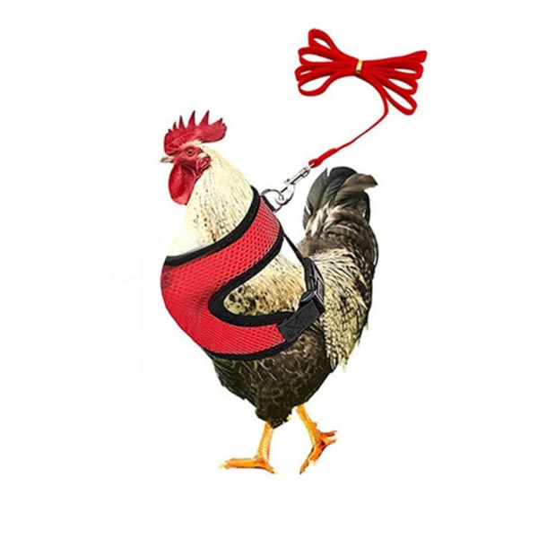 Justerbar kycklingsele med koppel - Bekväm kycklingväst som mesh Red M