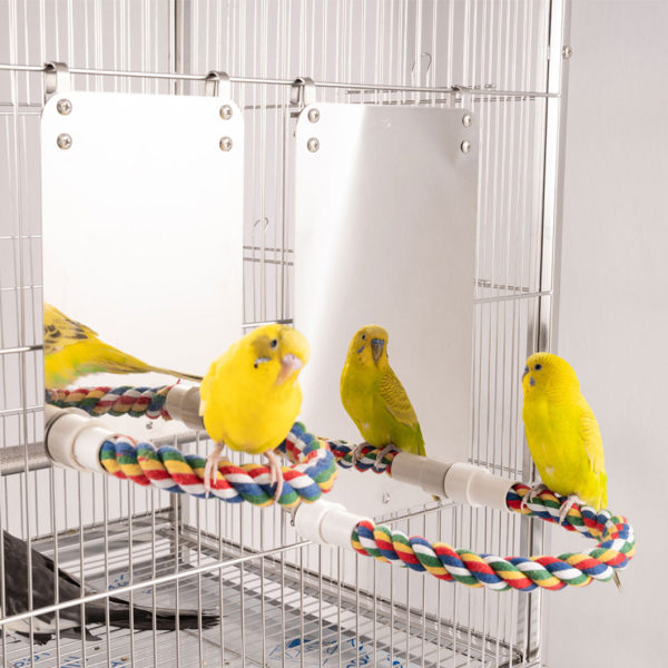 10 tums fågelspegel med rep Abborre Cockatiel-spegel för Cage Bir