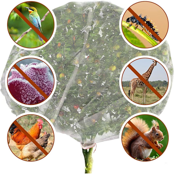 Insektnett med glidelås, insektnett for plantebeskyttelse for å beskytte planter, frukt og blomster mot insekter og fugler 3*3m