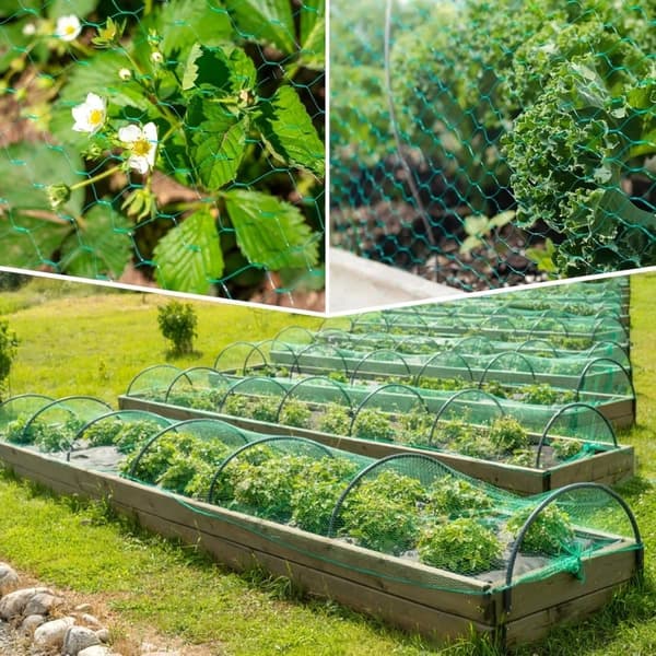 Fuglenet til Have – Holdbart Nylon, Beskytter Planter og Frugt mod Dyr 2x10m
