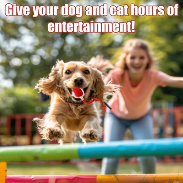 2-Pack Smart Automatic Rolling Pet Ball, Rechargeable Irregular Movement for Cats & Dogs
