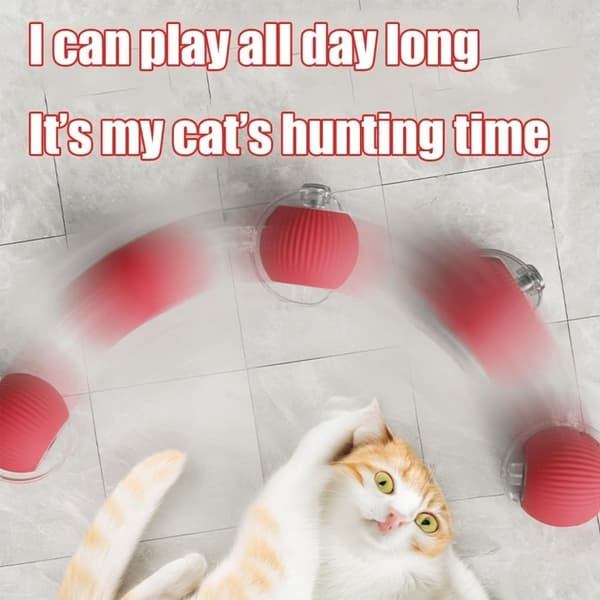 2-Pack Smart Automatic Rolling Pet Ball, Rechargeable Irregular Movement for Cats & Dogs