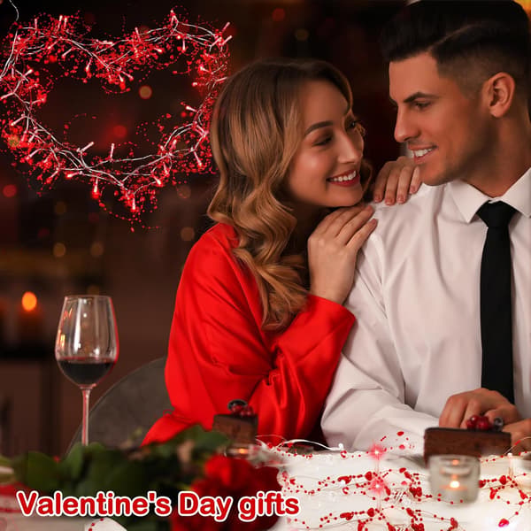 3m/4m/5m Hjerteformede Lys - Valentinsdag Dekoration | 30/40/50 LED | 2 Lysstile Red 3m 30LED