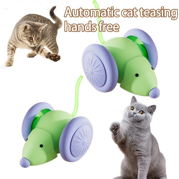 Interactive Cat Toy with Glowing Tail & Automatic Movement - USB-Powered Smart Motion Sensor Green & Purple