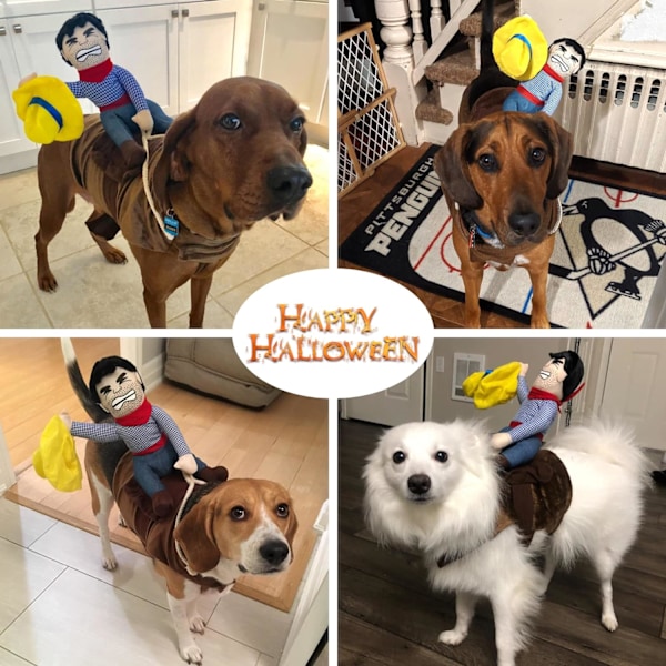 Koira Halloween-asu Hauska Koiran Cowboy-ratsastusasun Pet-asu Kissan asu Cowboy-ratsastajan tyyli Sopii pienille, keskisuurille ja suurille koirille (Keskikoko)