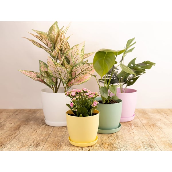 Hvide haveornamenter hvide potter med underskåle - Udendørs blomsterpotter med mat finish og bakke - Potter med underskåle Hvid White 14cm*12.5cm*10cm