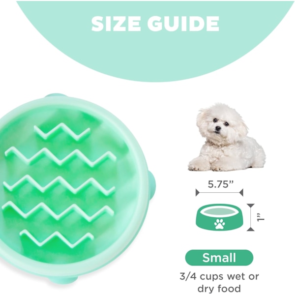 Hundmatskål - Långsam utfodring - Mintgrön - Liten/Pytteliten