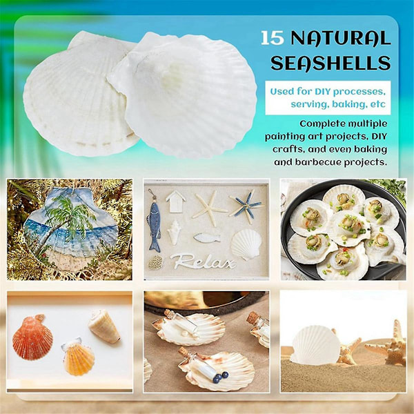 15 stk. Naturlige Havskjell Store Hvite, 10-12 cm Kamskjell for DIY Håndverk, Servering av Mat, Baking