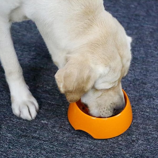 Antiglutton-koiran ja kissan ruokakulho, liukumaton ruokakulho edistää hitaampaa syömistä, interaktiivinen anti-turvotus melamiinikulho (oranssi M)