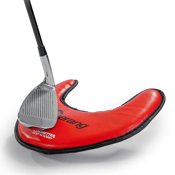 David Leadbetter Boomerang Arm Body Sync