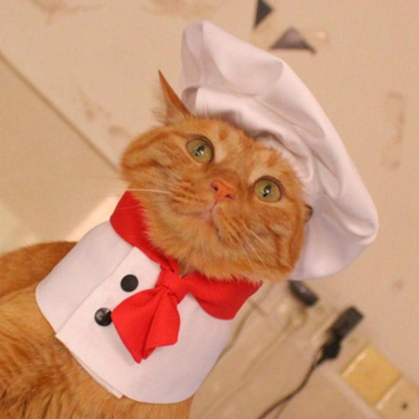 Cat Chef Hat Set Pet Cooking King Hat LL