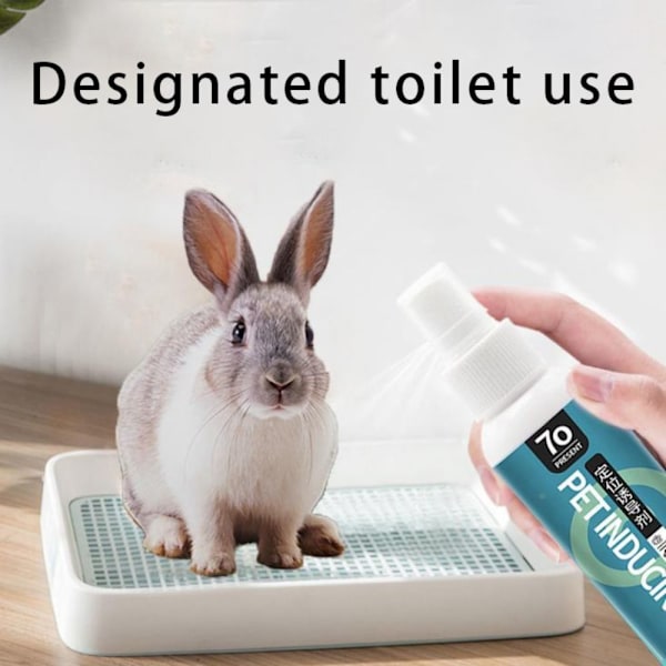 Pieneläintarvikkeet WC Kanin hiekkalaatikko SININEN L sininen blue L