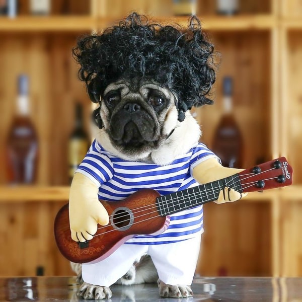 Roliga gitarr Hundkostymer Husdjurskläder Hundkläder Chihuahua Teddy Pug Kostym Julfest Halloween Kostymer Outfit（XL）