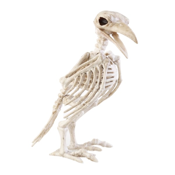 Crazy Bone Skeleton Raven 100% Plast Animal Bones Hor