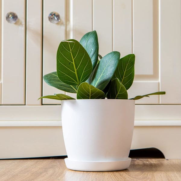 Hvide haveornamenter hvide potter med underskåle - Udendørs blomsterpotter med mat finish og bakke - Potter med underskåle Hvid White 14cm*12.5cm*10cm