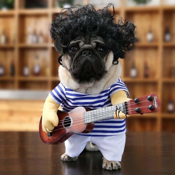 Roliga gitarr Hundkostymer Husdjurskläder Hundkläder Chihuahua Teddy Pug Kostym Julfest Halloween Kostymer Outfit（XL）