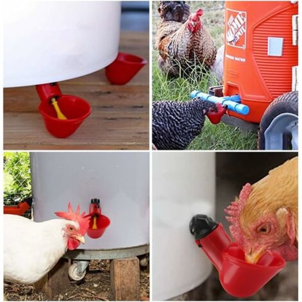 5 st Automatiska Fjäderfädryckare, Portabel Vattenbehållare, Plastmugg, Vattenbehållare, Vattendispenser för Fågel, Vaktel, Duva, Kyckling, Höna (25mm)
