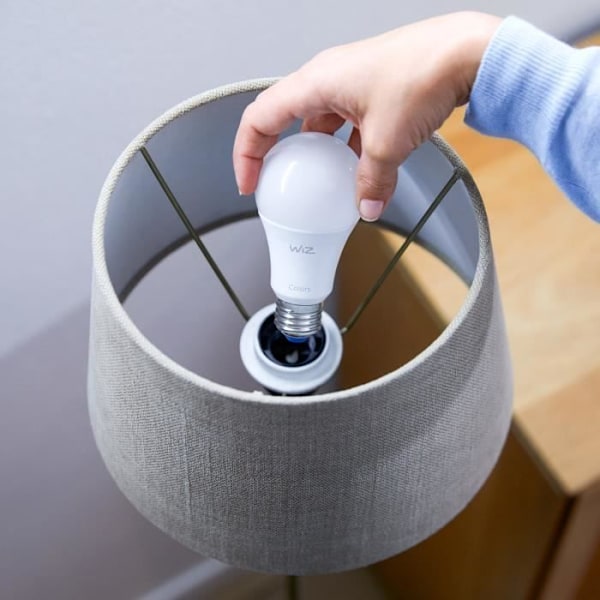 WiZ Tilsluttet pære Hvid variabel E27 60W