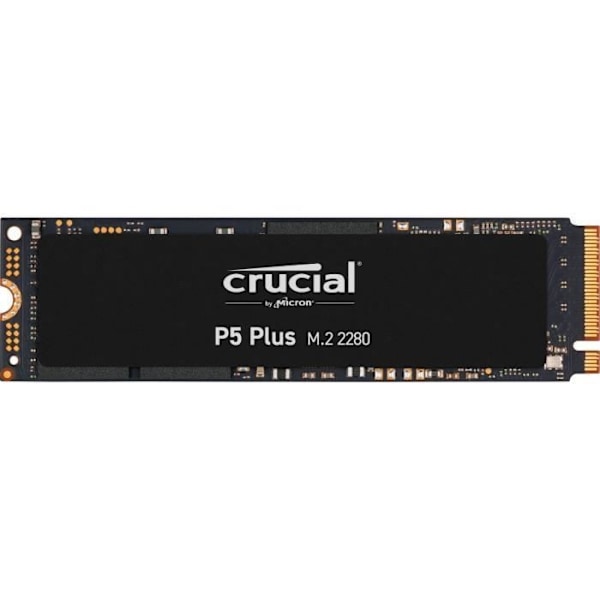CRUCIAL - Internt SSD - P5 Plus - 500Go - M.2 Nvme (CT500P5PSSD8)